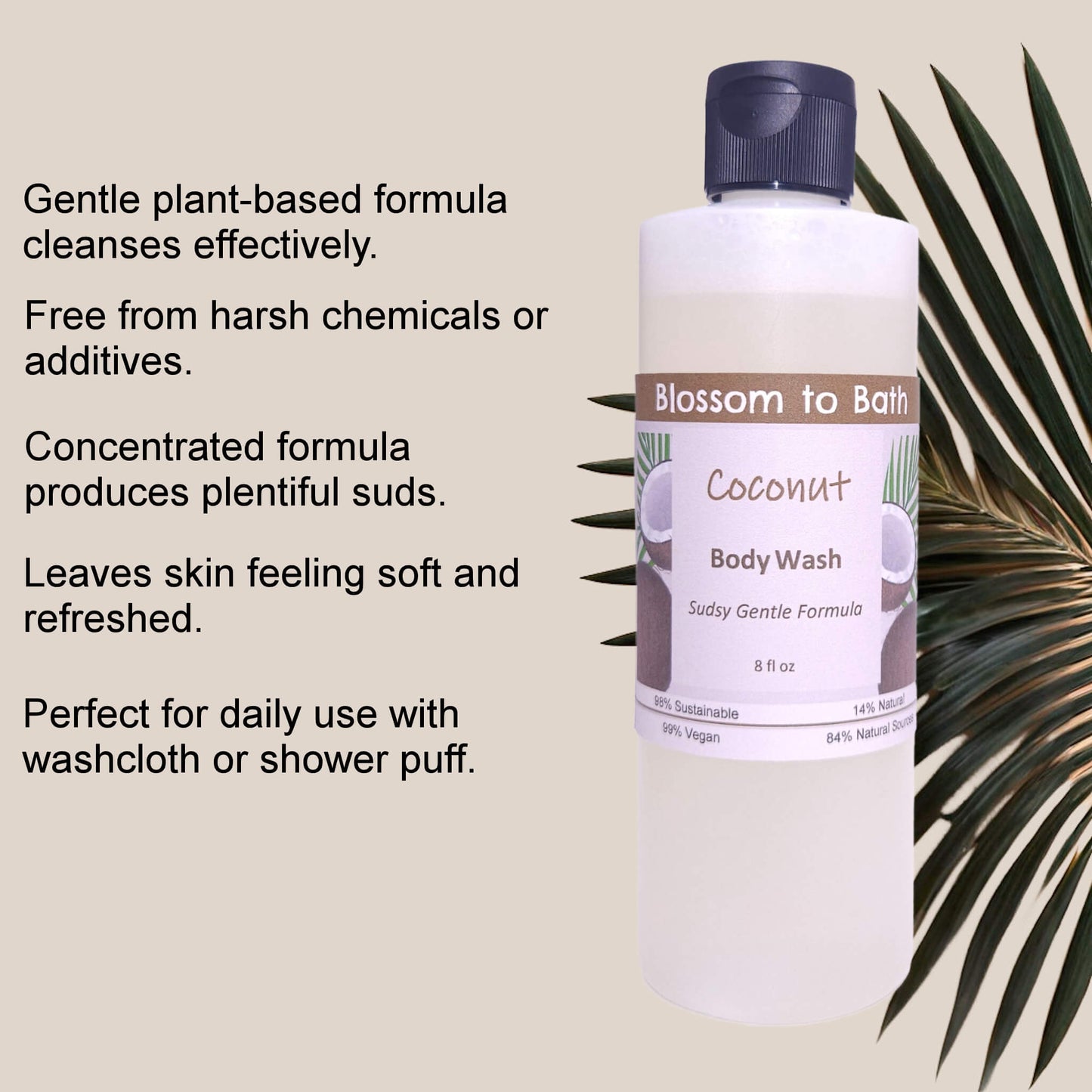 Coconut Body Wash (8 Ounce) - Phthalate Free Fragrance