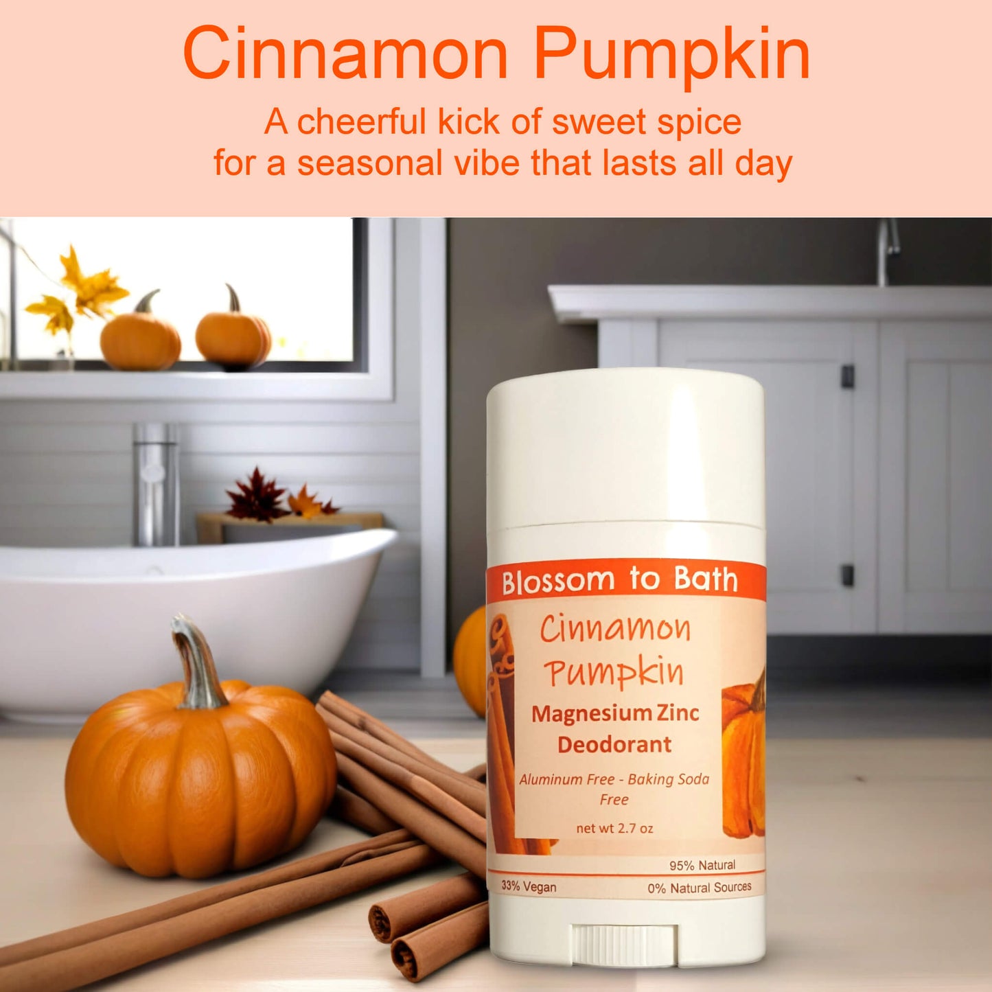 Cinnamon Pumpkin Magnesium Zinc Deodorant (2.7 ounce) - Phthalate Free Fragrance