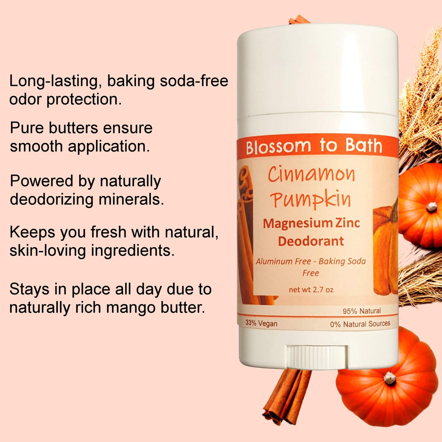 Cinnamon Pumpkin Magnesium Zinc Deodorant (2.7 ounce) - Phthalate Free Fragrance