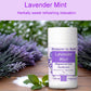 Lavender Mint Magnesium Zinc Deodorant (2.7 ounce) - Pure Essential Oil Fragrance
