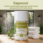 Sagewood Magnesium Zinc Deodorant (2.7 ounce) - Natural Fragrance